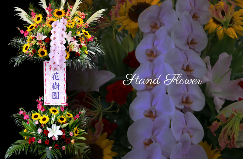 島原市雲仙市南島原市仏花お祝いスタンド